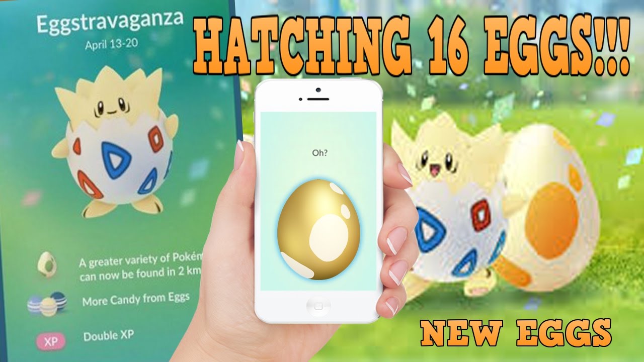 EGGSTRAVAGANZA - Hatching 🐣16 Eggs!!! 2 km and 10 km NEW EGG HATCHES!!!