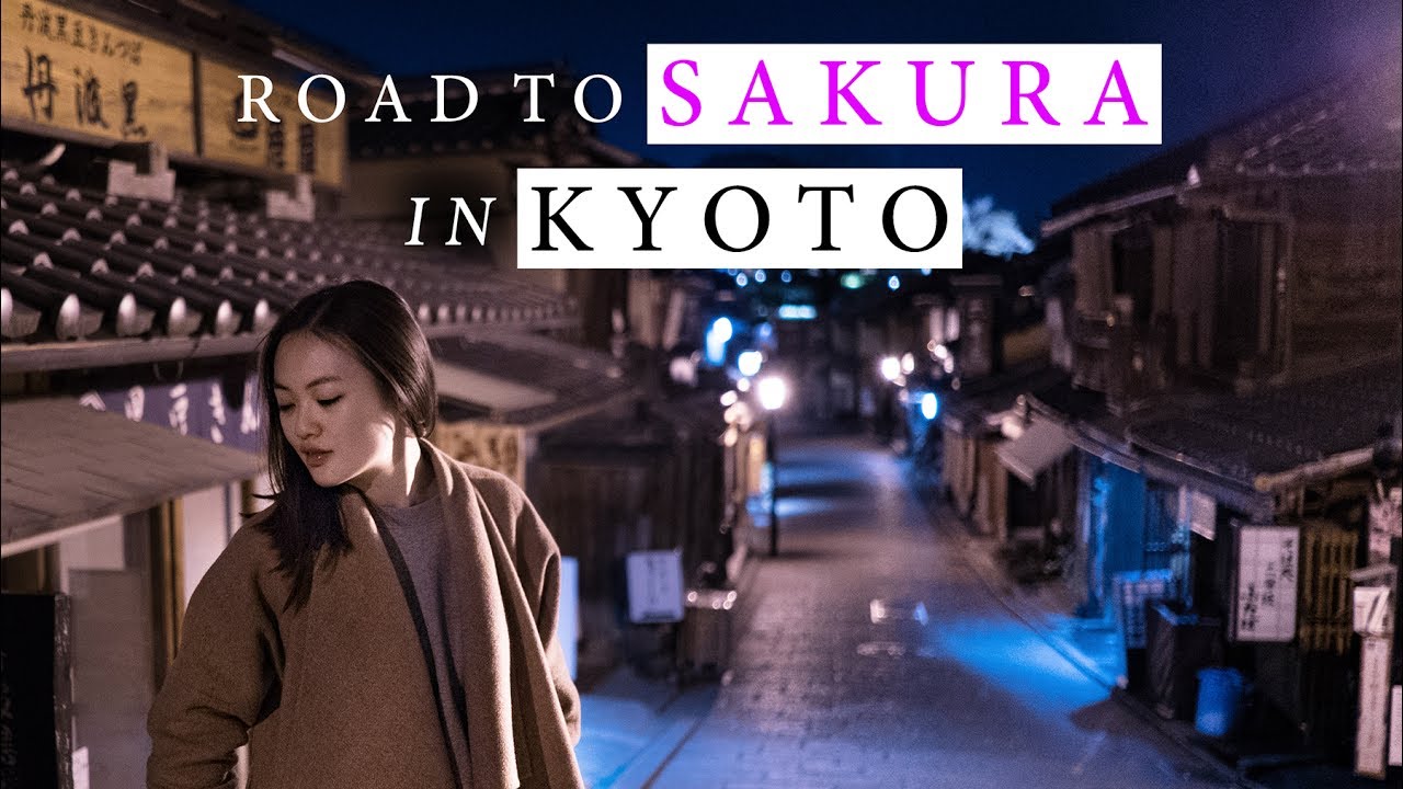 Road To Sakura In Kyoto | Travel With My Dear | Kyoto Vlog | 4K