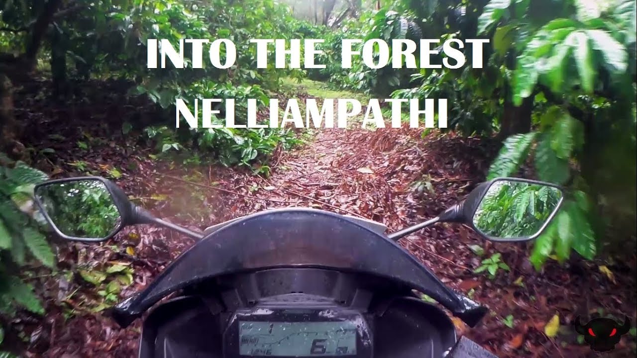R15 V3 off road | nelliampathi monsoon ride | toothless ride | max 100, ns 200, apache 180, bullet |