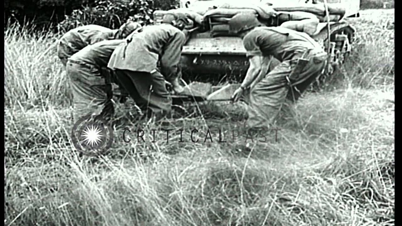 United States military tank M5A1 driven into heavy hedgerow with a Culin hedgerow...HD Stock Footage