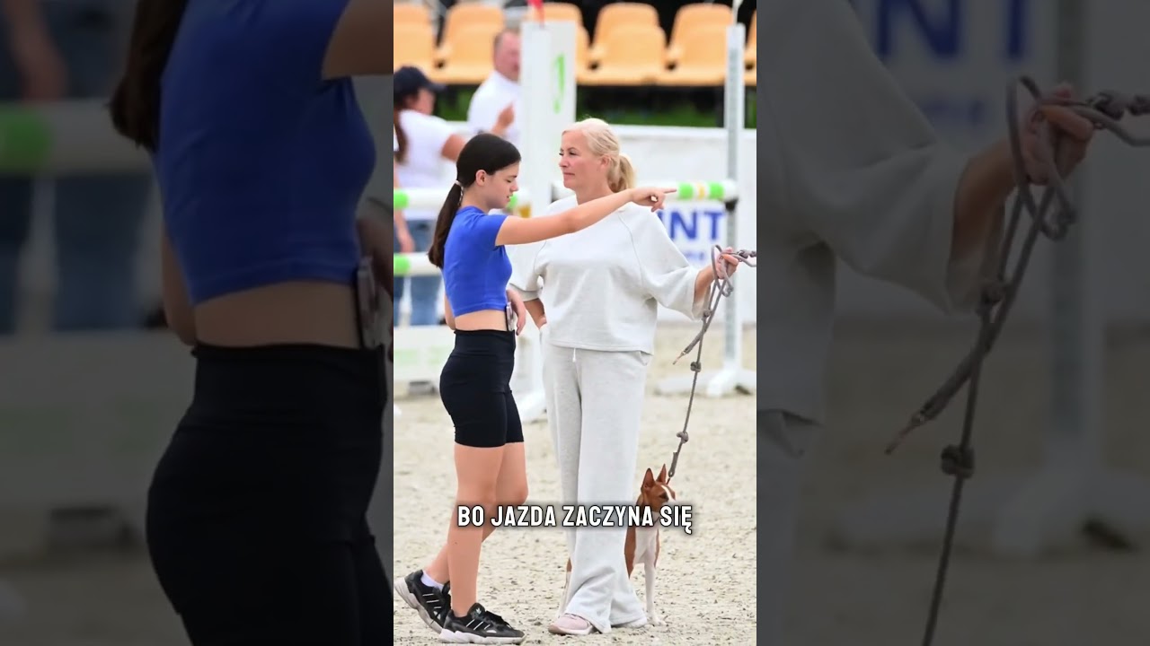 Jazda konna to TYLKO siedzenie ❓Oto cała prawda ❗️ #konie #equestrian #horse