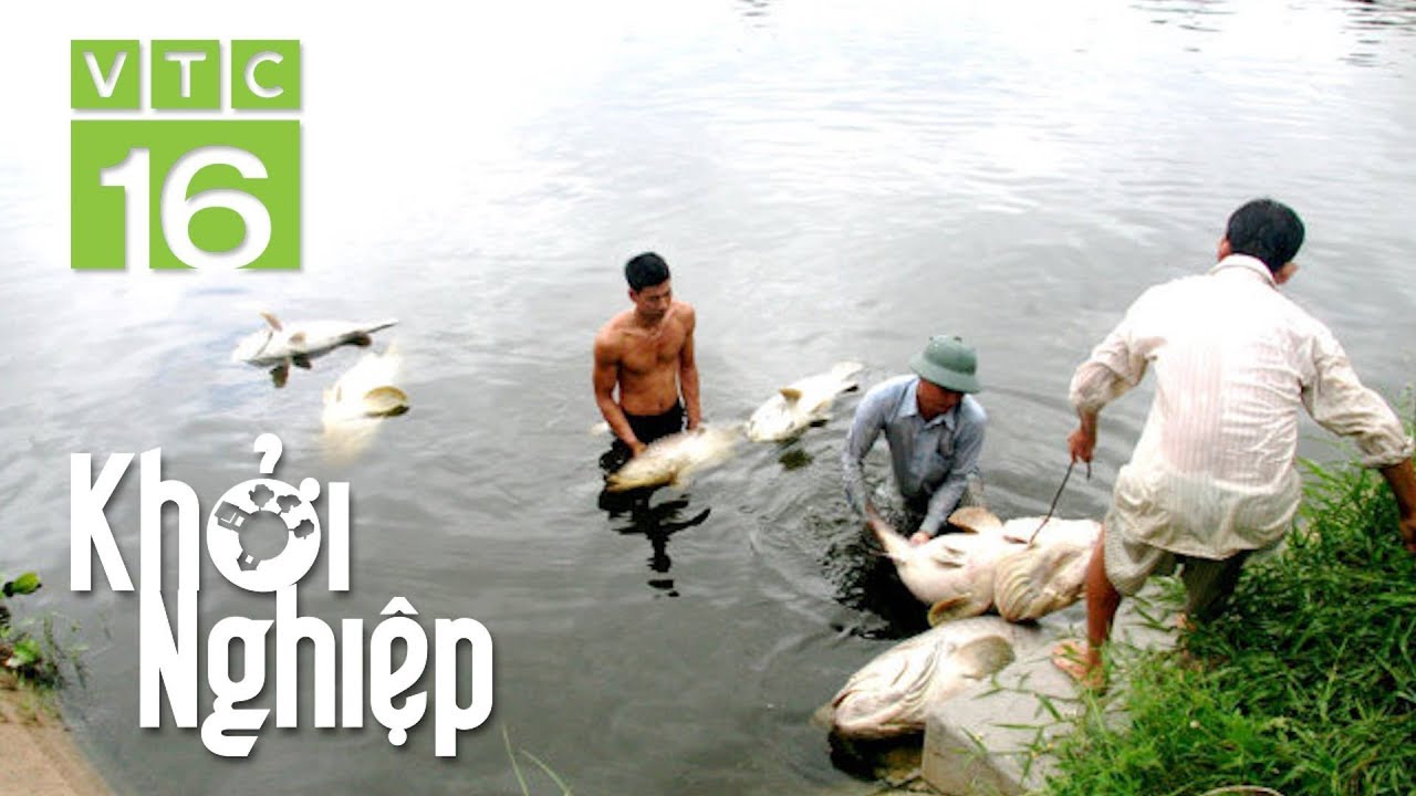 Bài học 