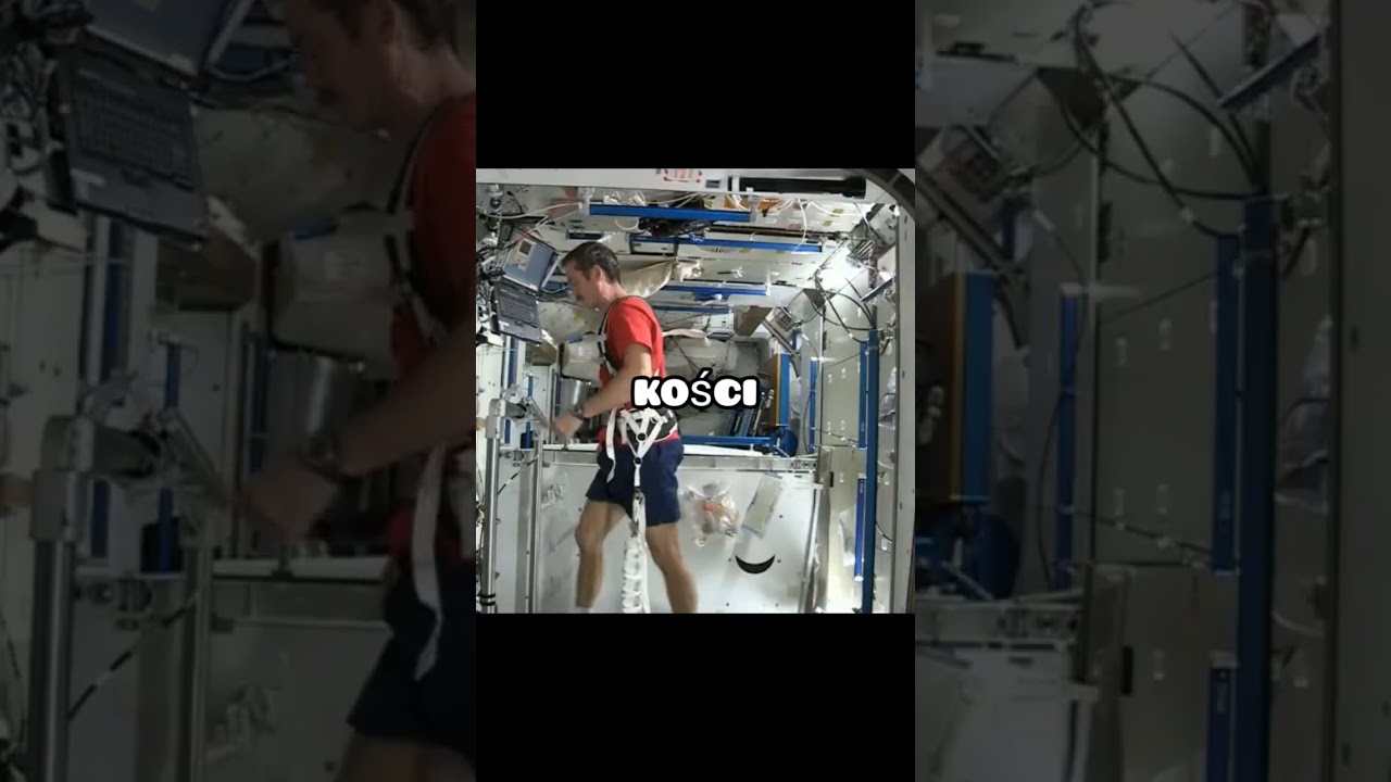 Jak wygląda codzienne życie na ISS?
