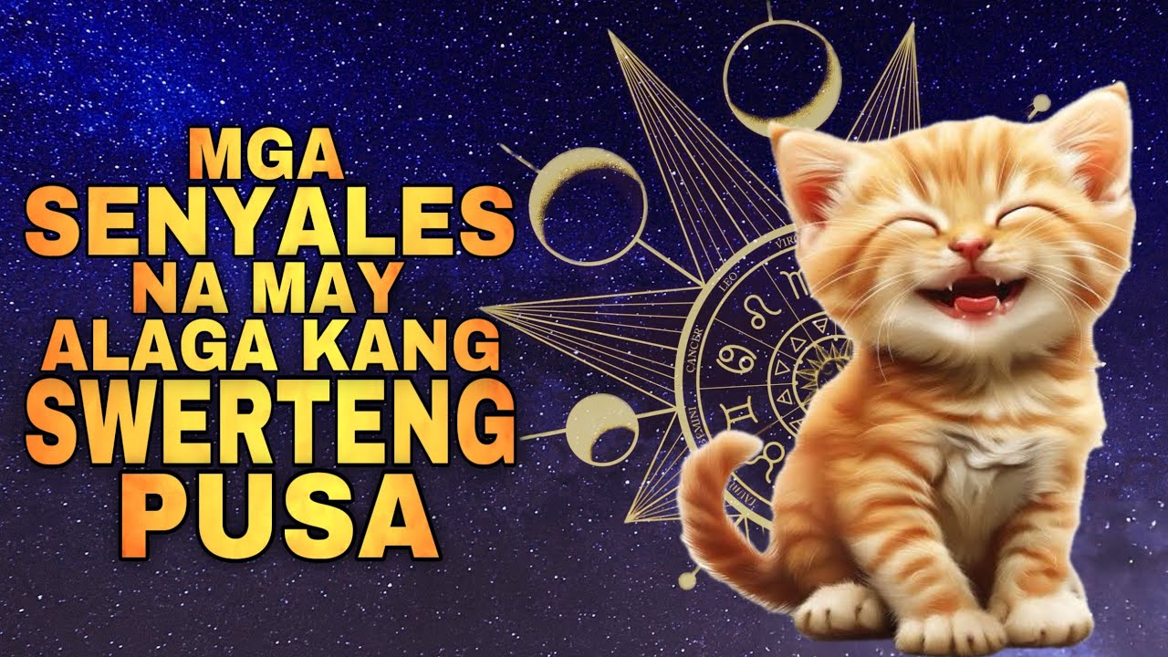 MGA SENYALES NA MAY ALAGA KANG SWERTENG PUSA | Lucky cat 2026