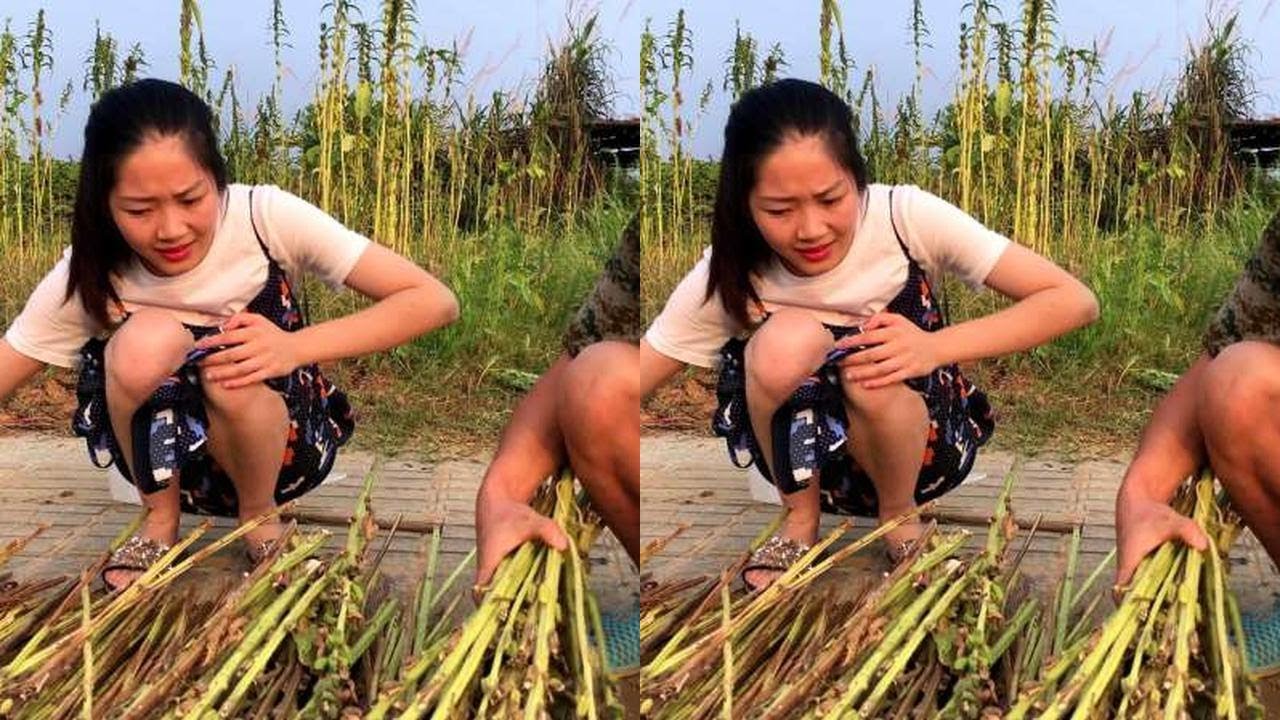 路边遇到一大哥种芝麻，一问收入吓一跳，原来是隐藏的土豪