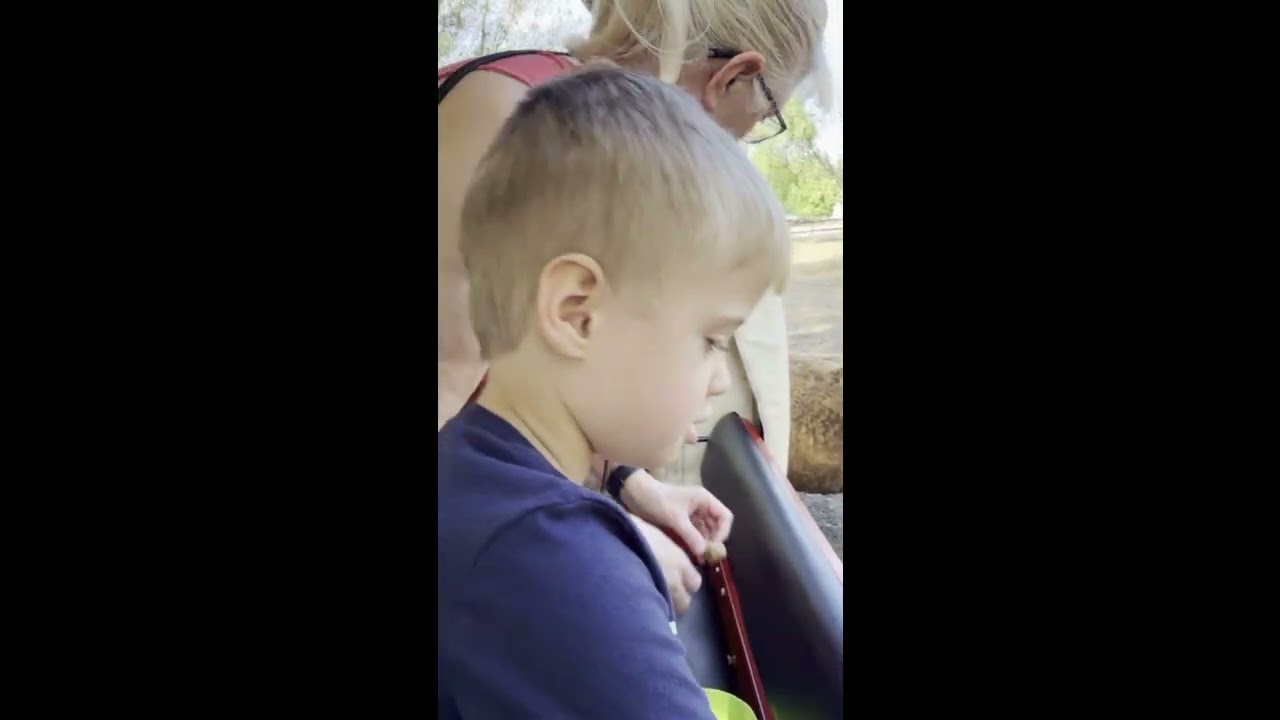 Taking the Grandkids to the Farm to see Cow and Donkeys