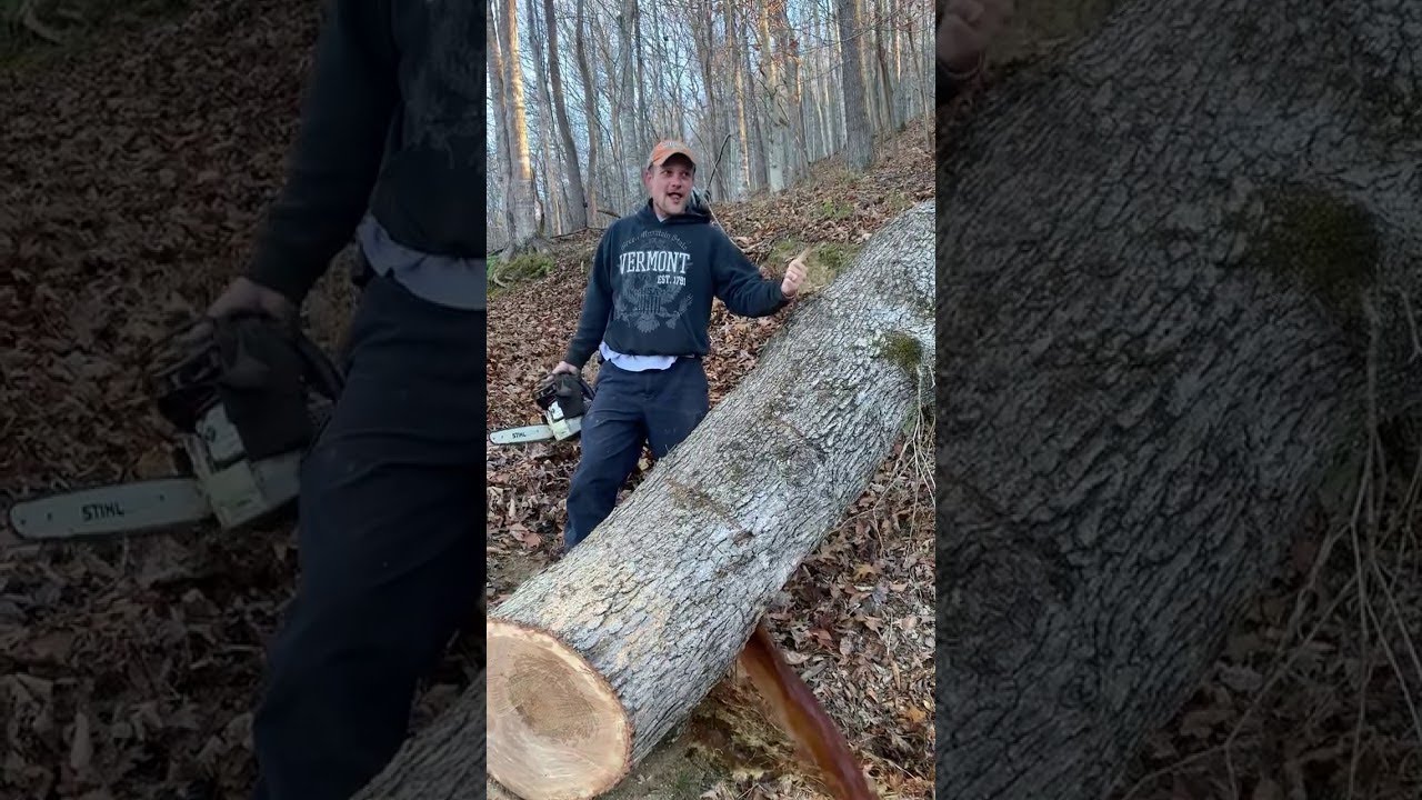 Cut Tree Had Some Water Stored Up || ViralHog