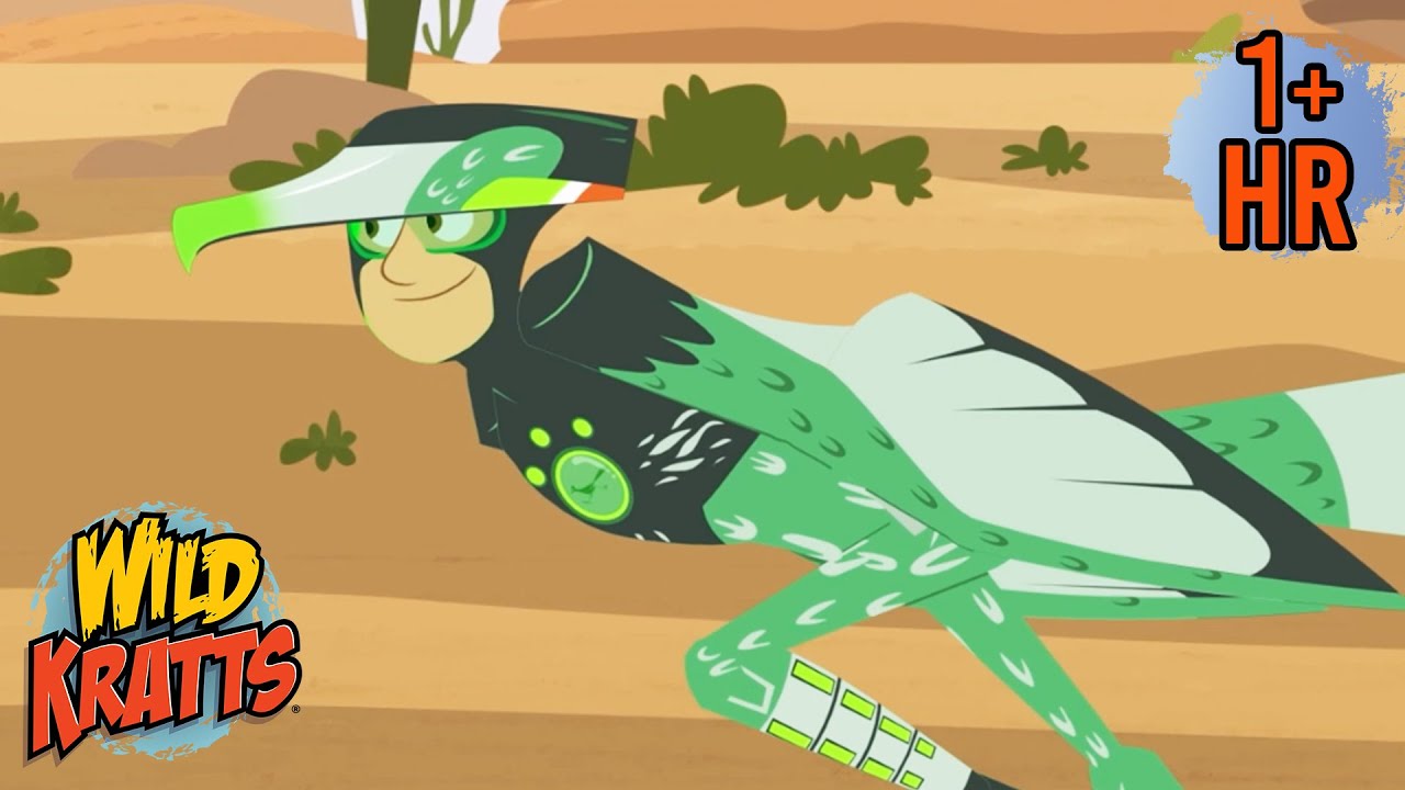 Epic Bird Moments You Won’t Believe! | Creature Facts | Wild Kratts