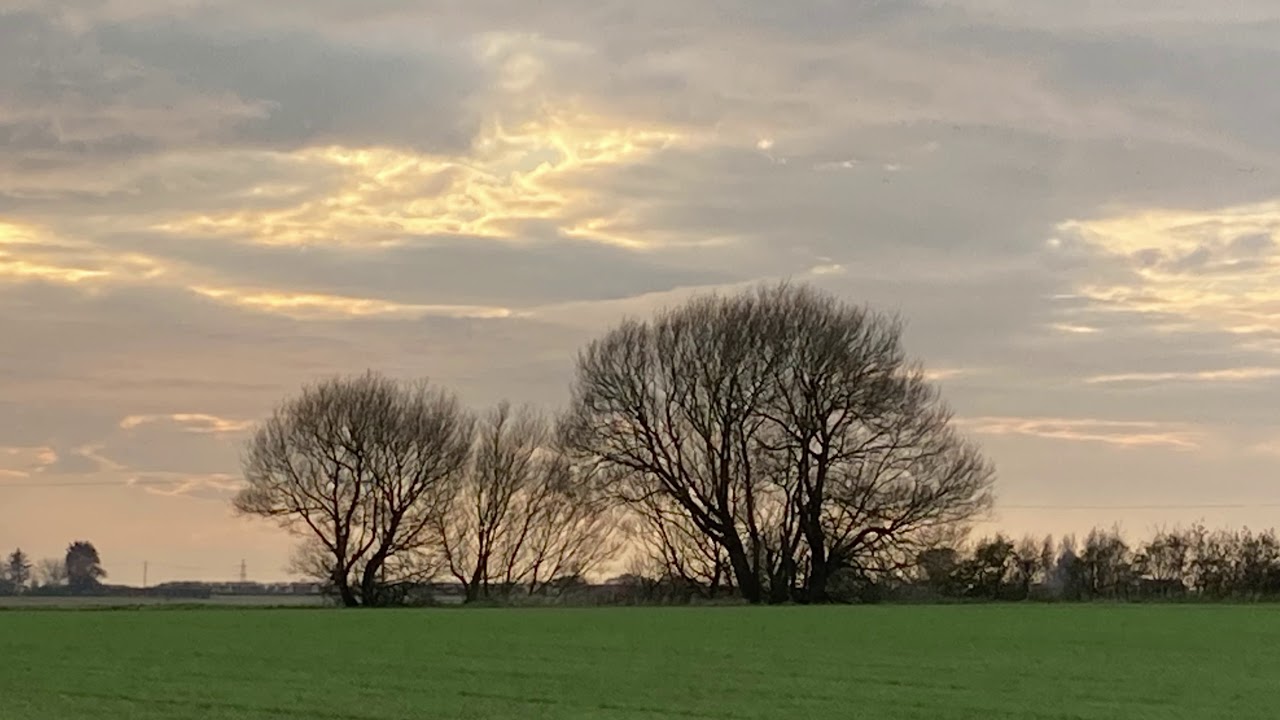 Autumn in Scarisbrick