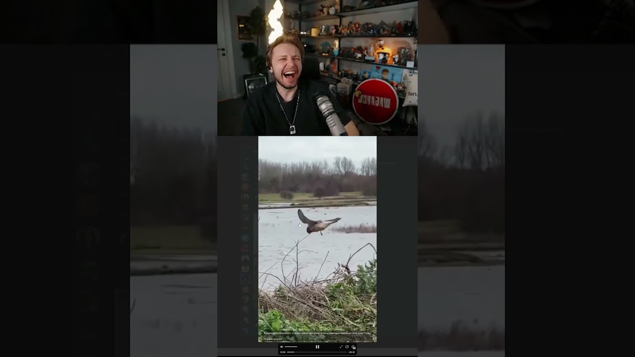 В реальности обнаружили ту самую невидимую стену #stint #stintik #нарезки