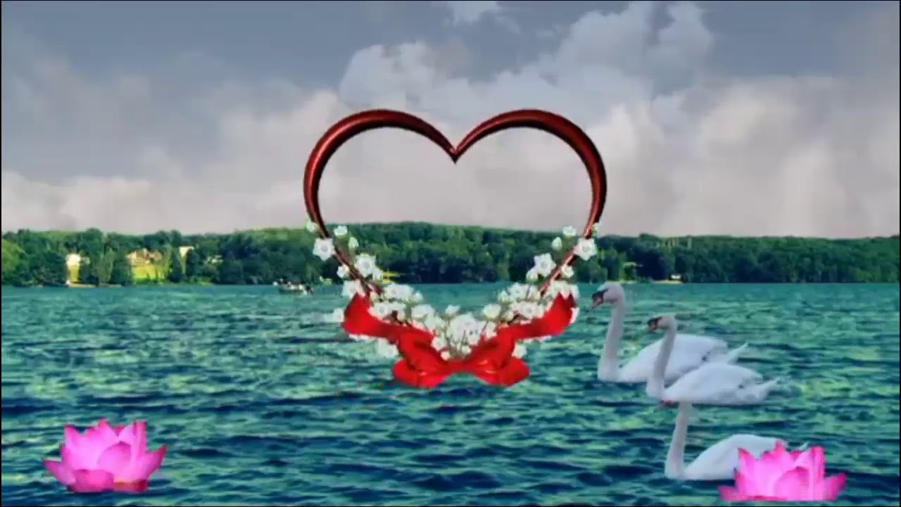 Sabri TV. G.Mustafa official
