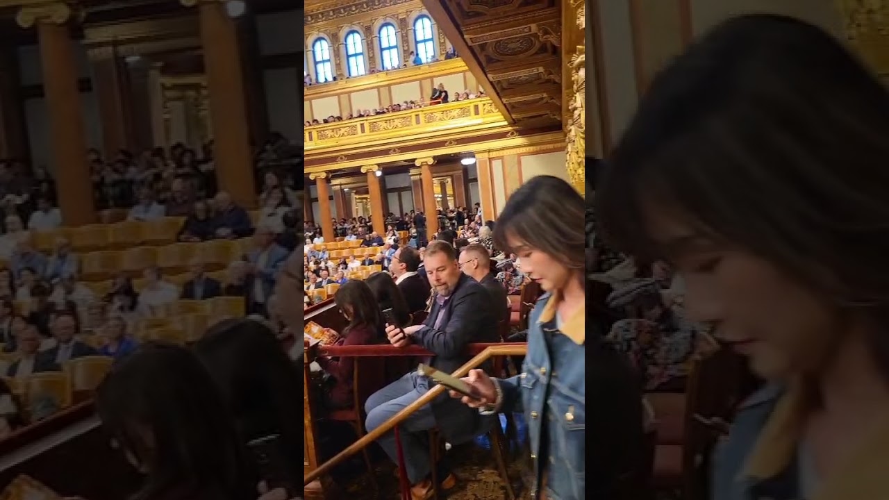 înainte de concertul de la Viena la sala de aur Muzik Viennen