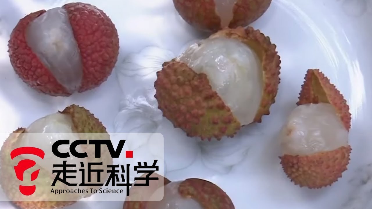 《走近科学》 冷链保鲜 20190905 | CCTV走近科学官方频道