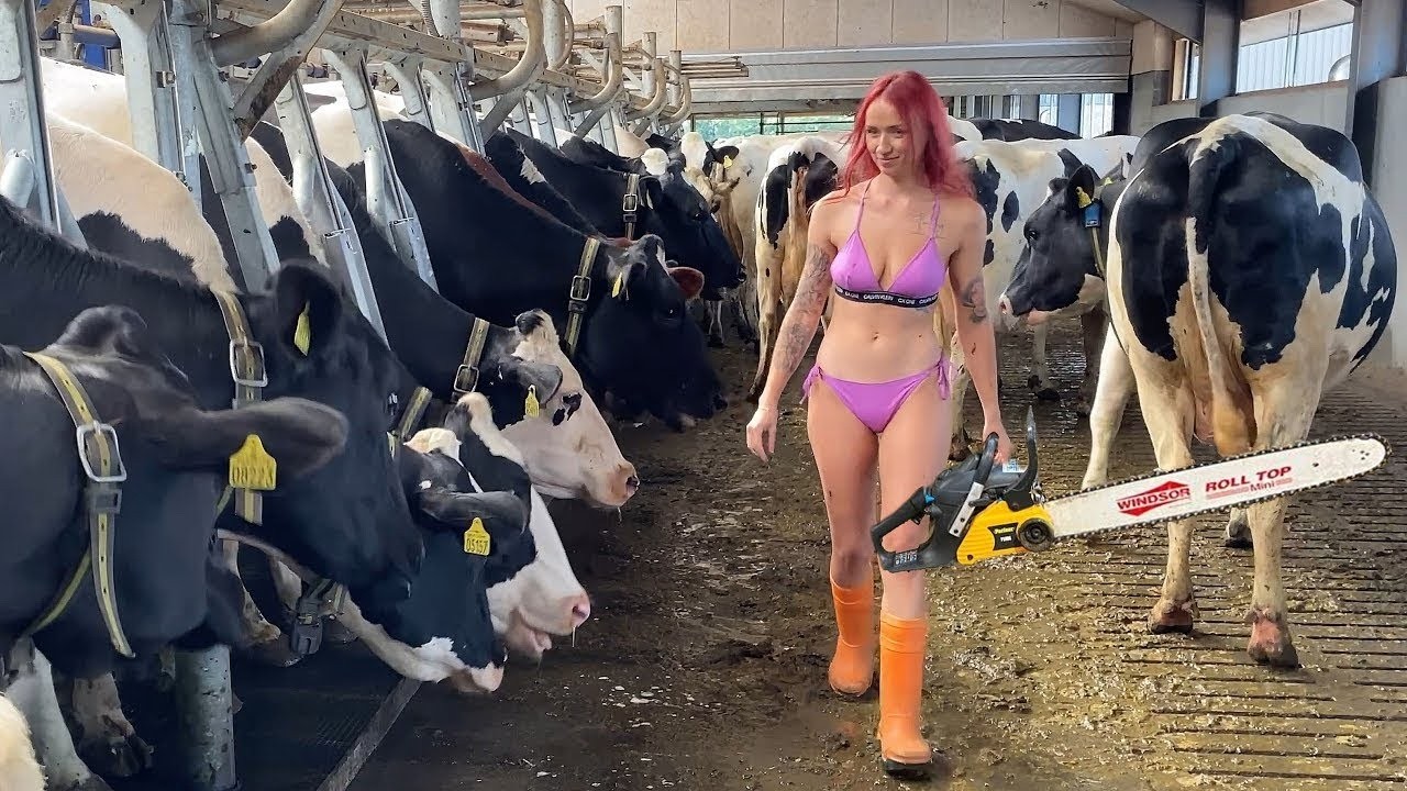 Dangerous STIHL Chainsaw Farm #WithMe Pretty Girl Tree Cutting Cow Milking Cure Cows Feeding Farming