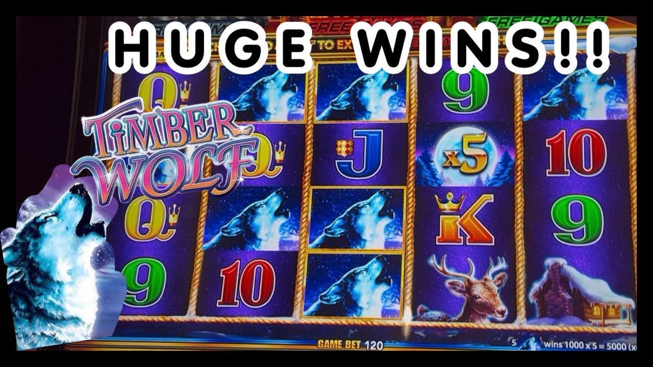 HUGE Bonus Wins!! Timber Wolf Gold 🐺 