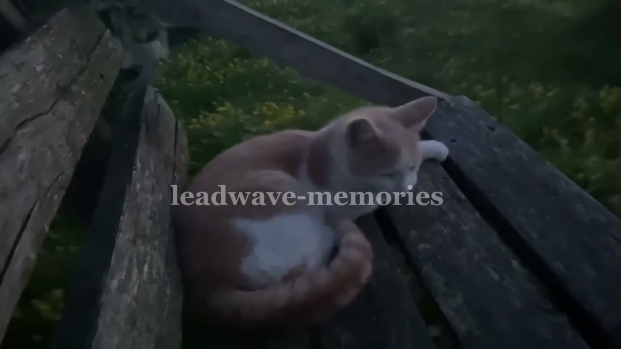 leadwave-memories( long version)