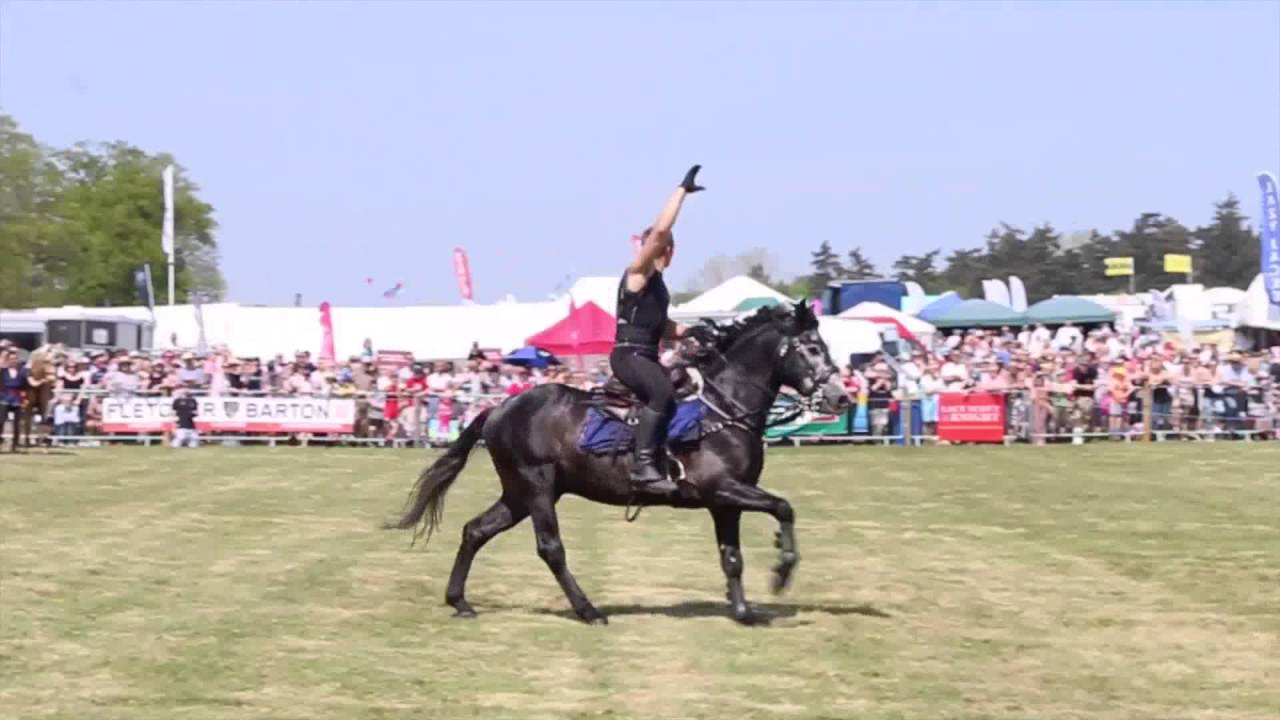 ATKINSON ACTION HORSES 2016