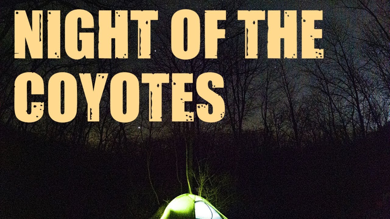 Spring Tent Camping with Bushcraft and Bacon