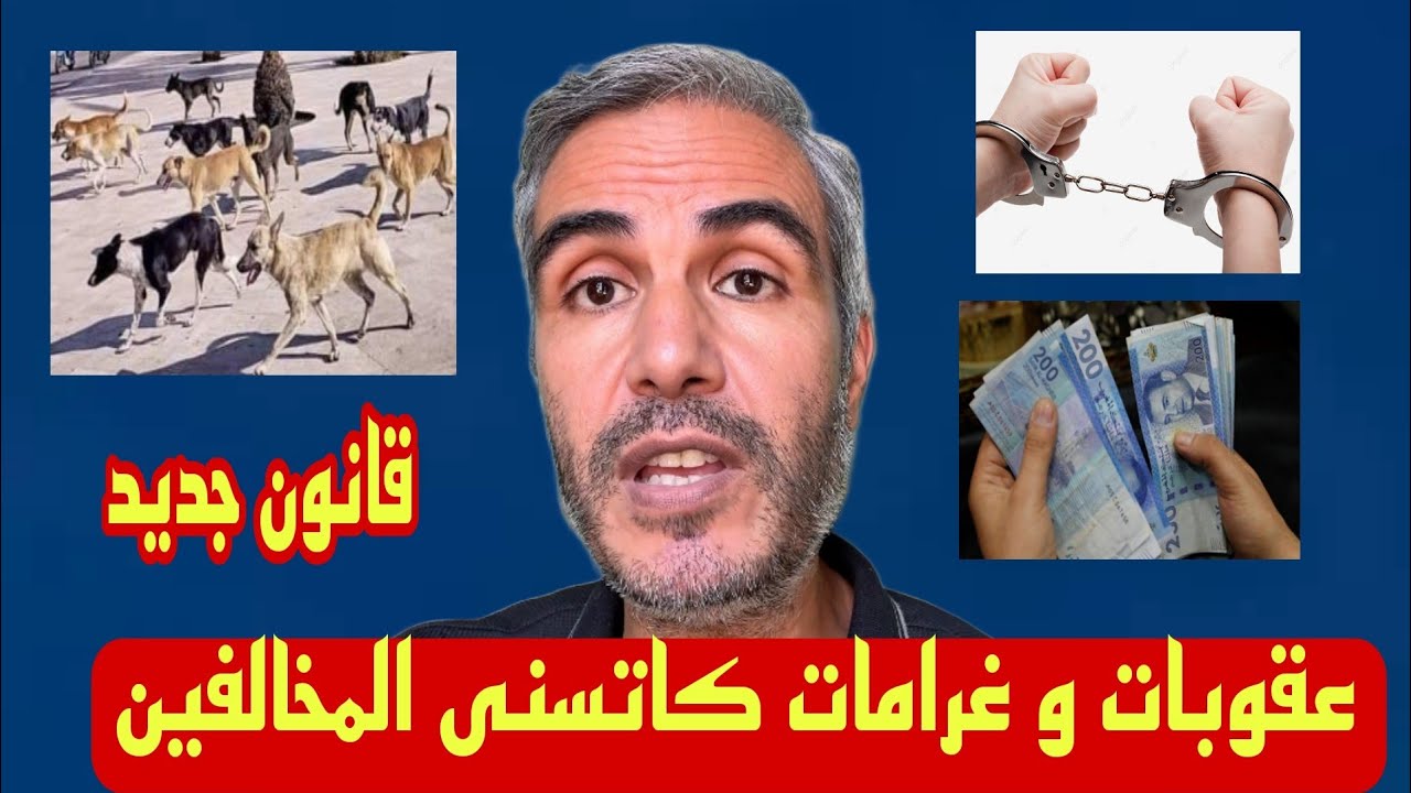 عقوبات و غرامات تنتظر المخالفين لشروط رعاية الحيوانات بالمغرب