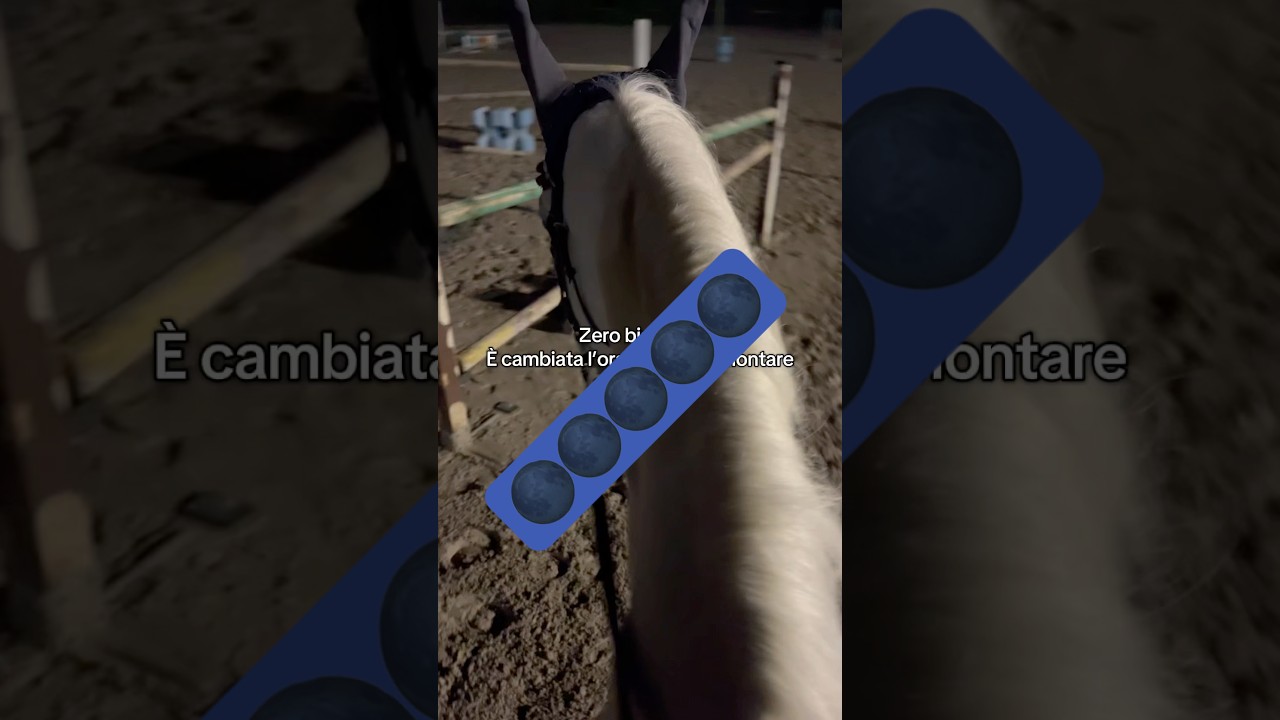 Non mi piaceee!#horse #cavallo #equestrian #equitazione #horseriding #equestrianlife #cavalli