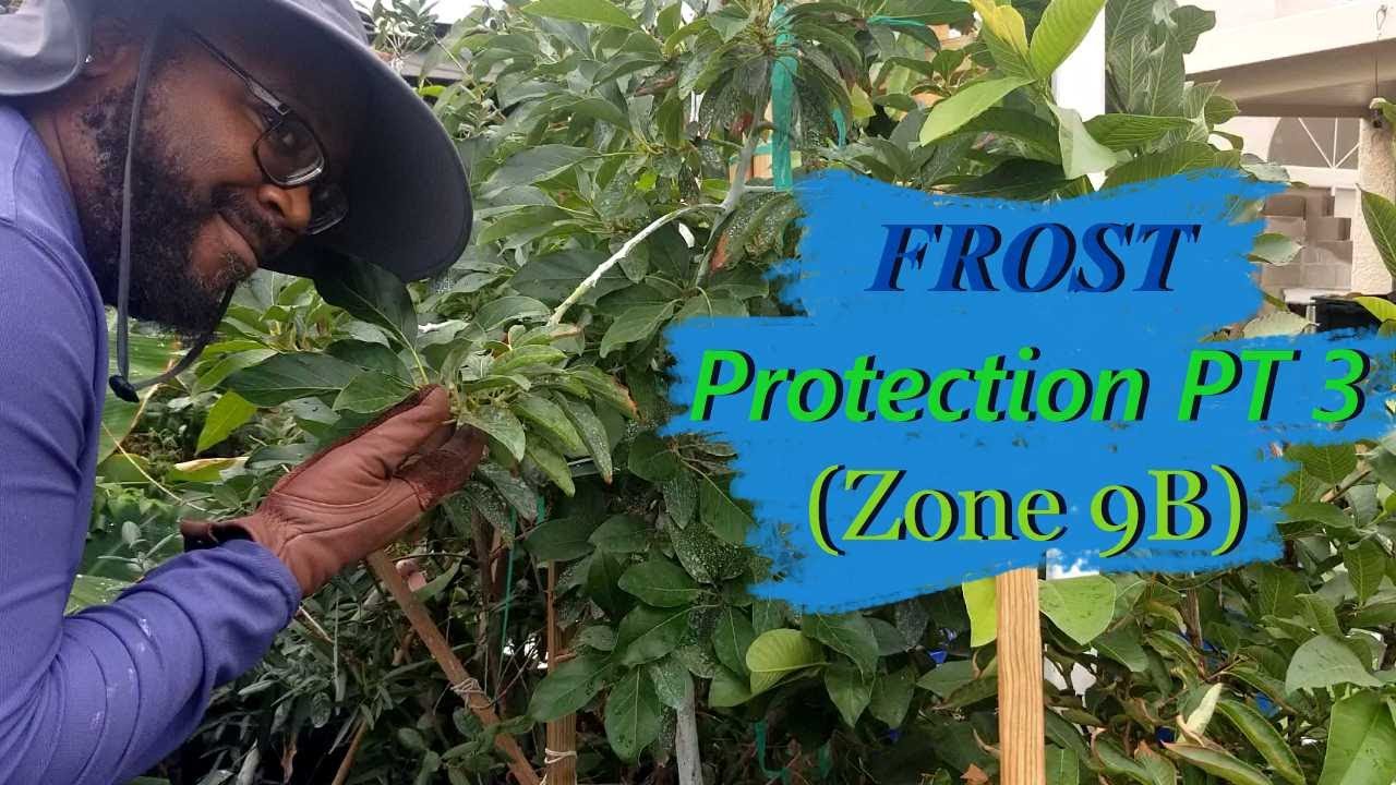 Cold protection  Pt 3 (Zone 9)