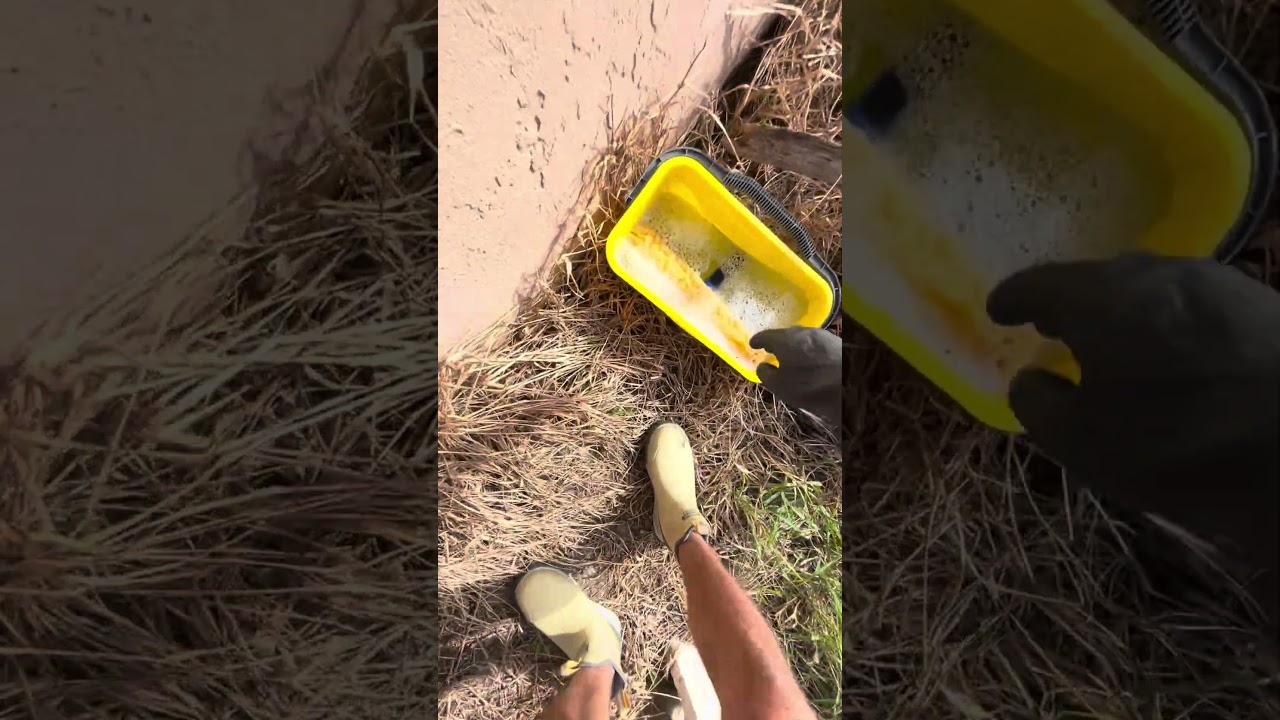 Florida sun + sprinklers = stubborn water spots 