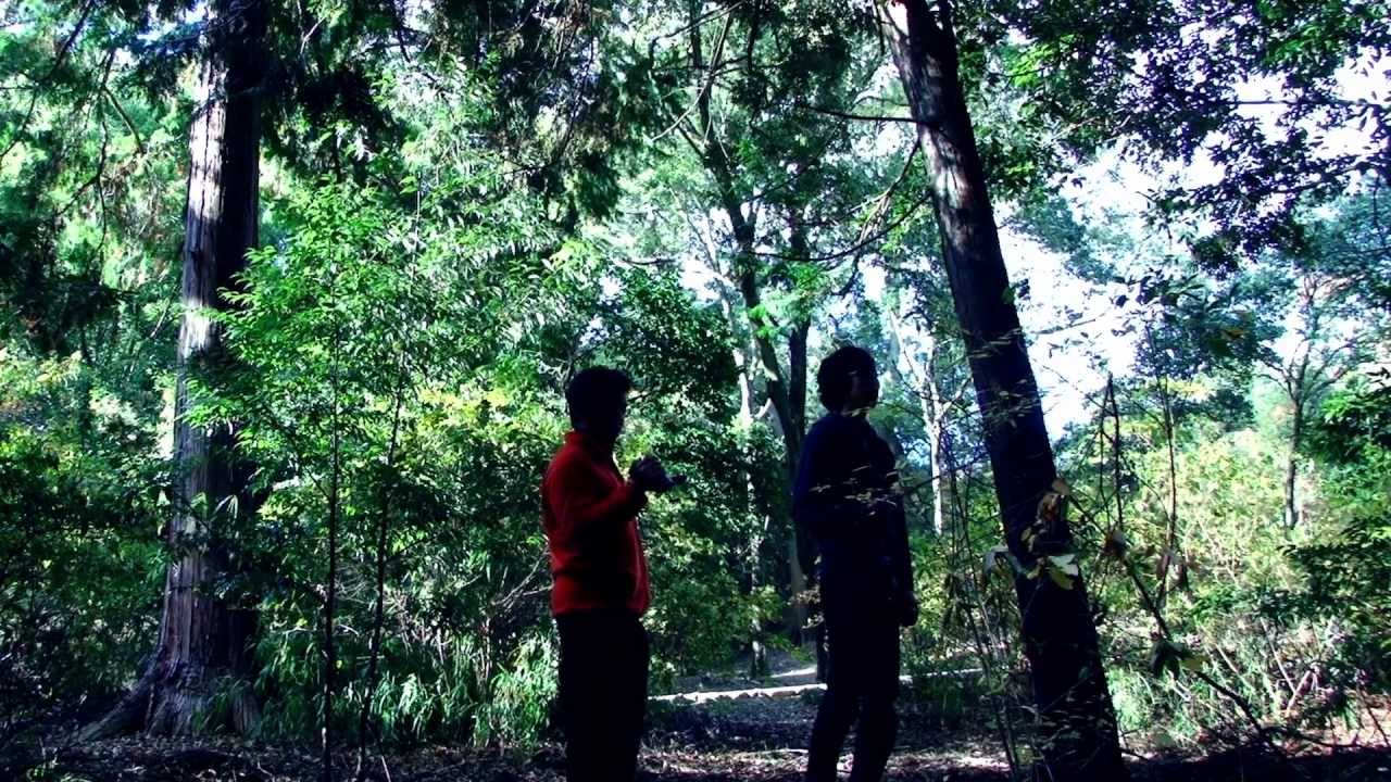 自主映画「森」Independent Horror film : "a Forest"