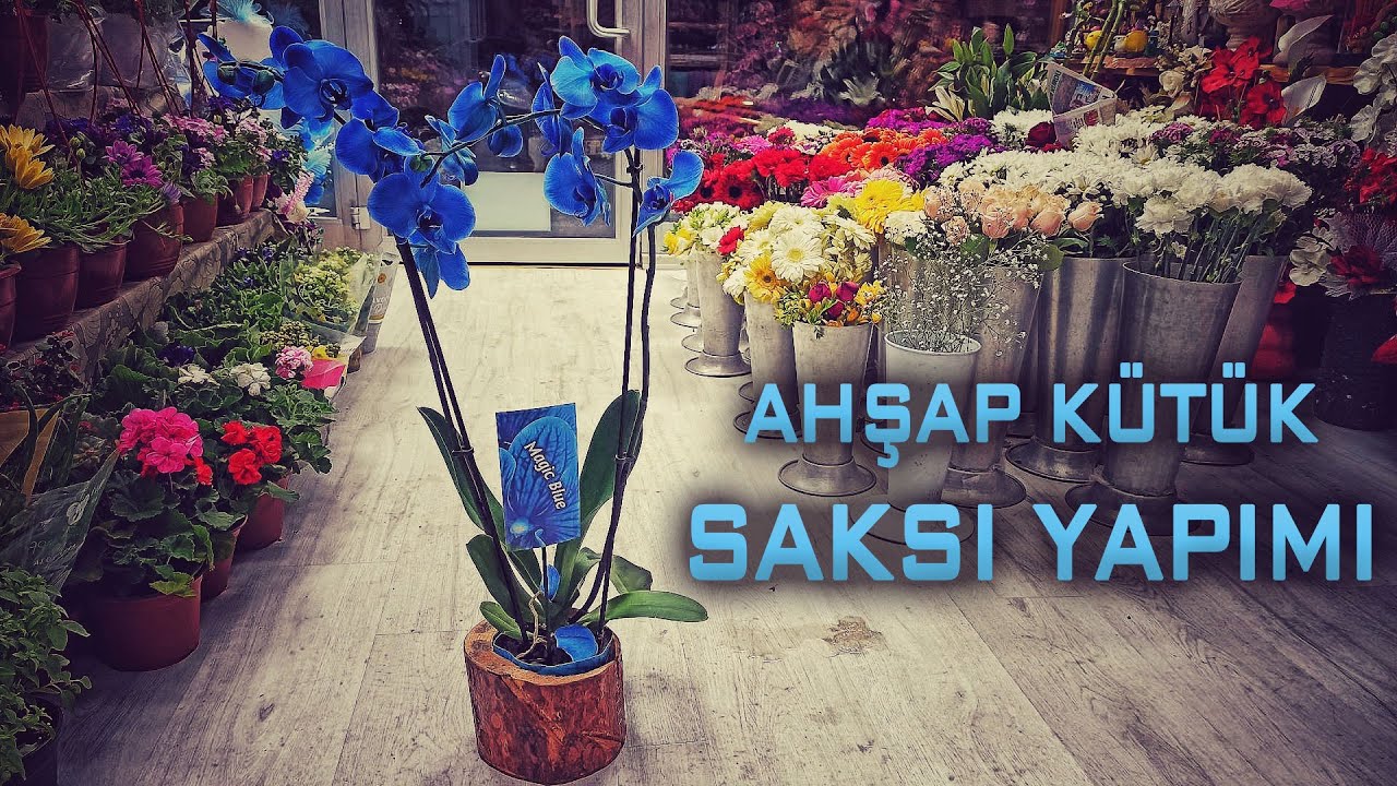DEKORATİF AHŞAP KÜTÜK SAKSI YAPIMI ( WOODEN VASE MAKING )