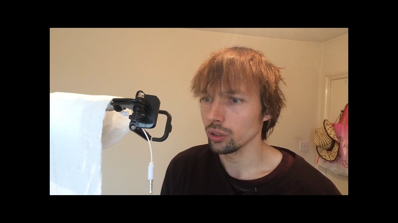 toilet paper song