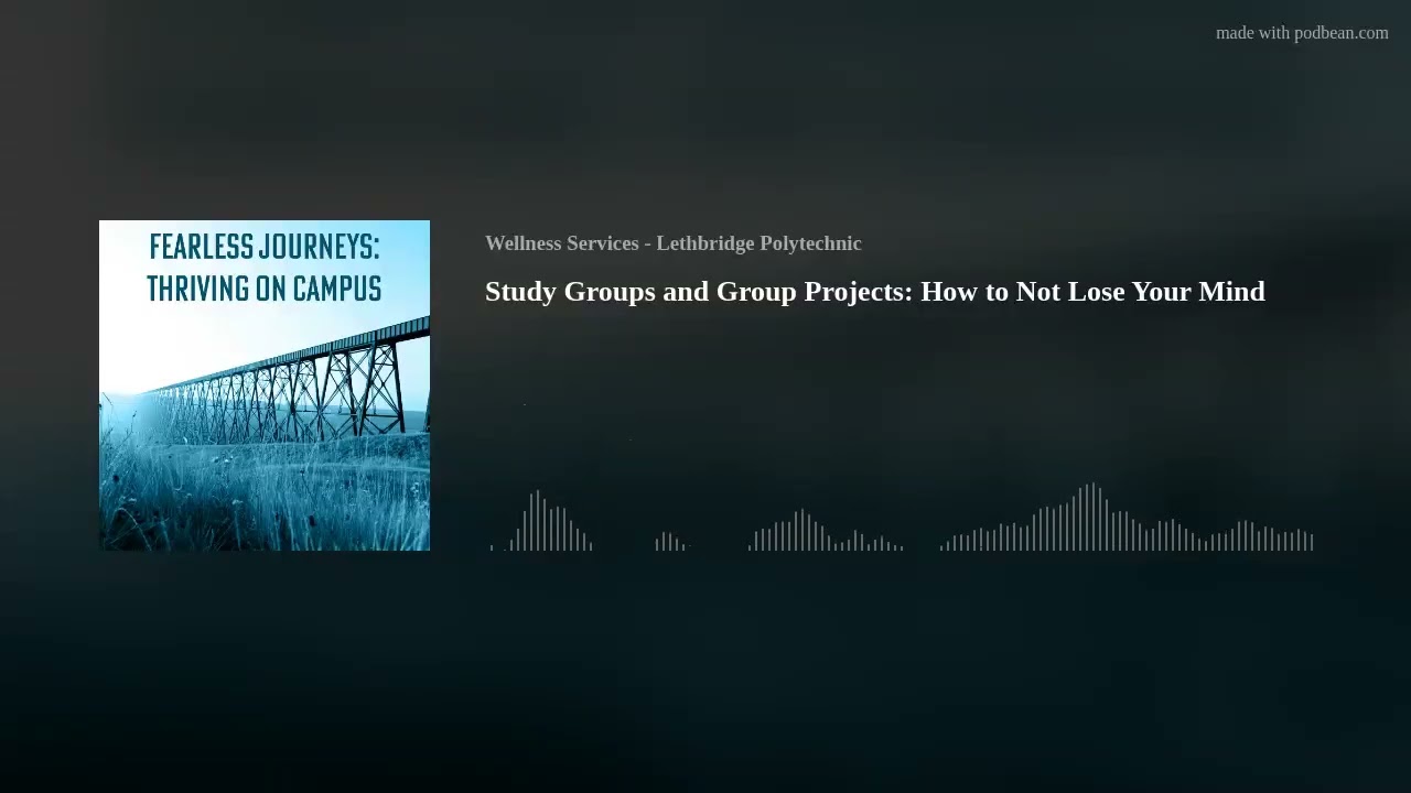 Study Groups and Group Projects: How to Not Lose Your Mind