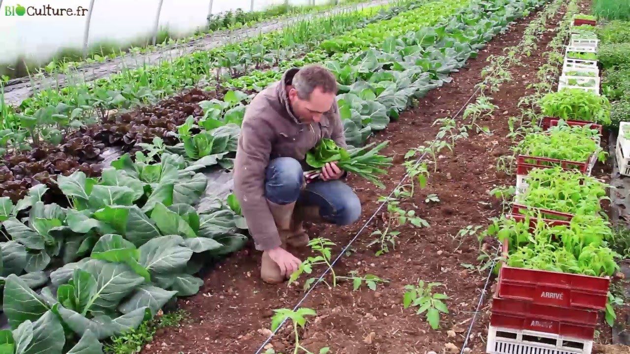 Didier, un mara&icirc;cher Bio impliqu&eacute; !