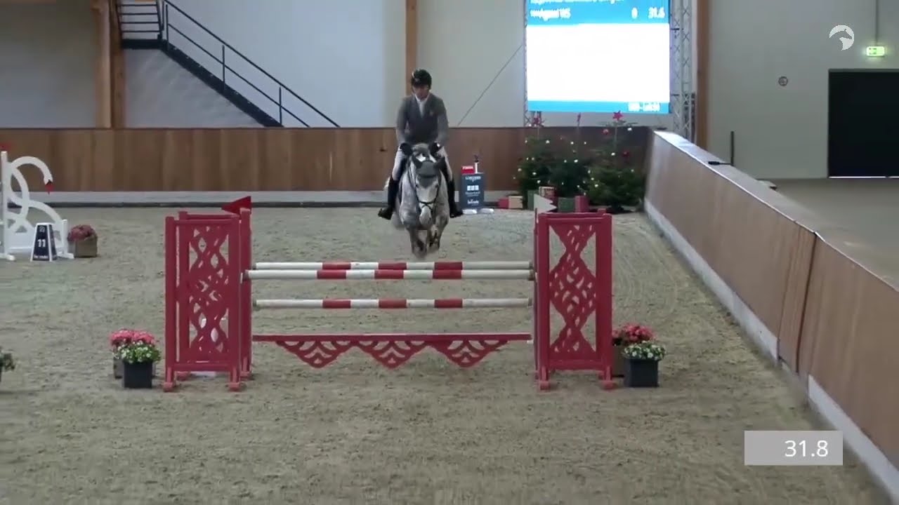 AGASSI WS Z - RIESENBECK 5 ANS - 12.2025