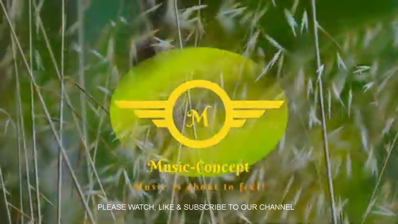 D Major Natural Melody 432hz - Music Concept Release - Music Video [ no copyright music ]