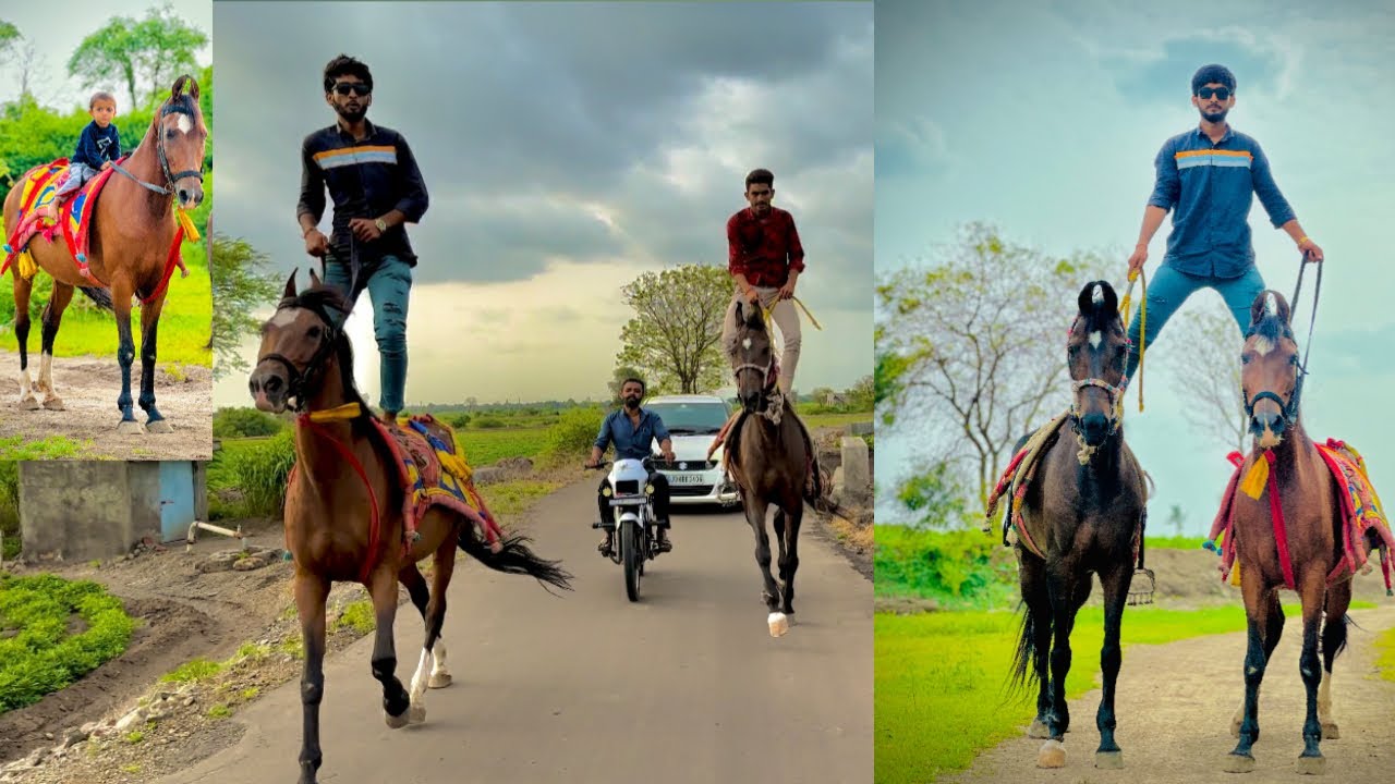 FINALLY dono horse ki bohot ride Ki 😱