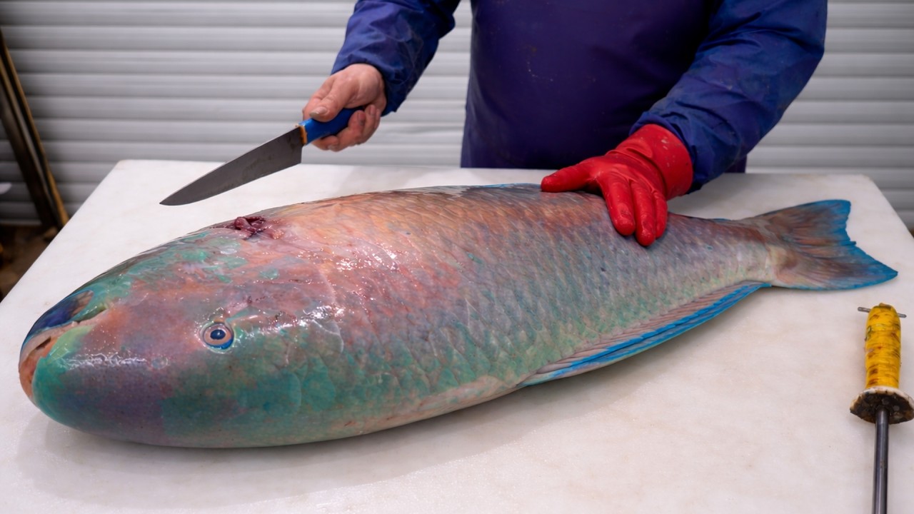Crazy Fast Fish Cutting ( Parrot Fish ) Technique (Must See!)