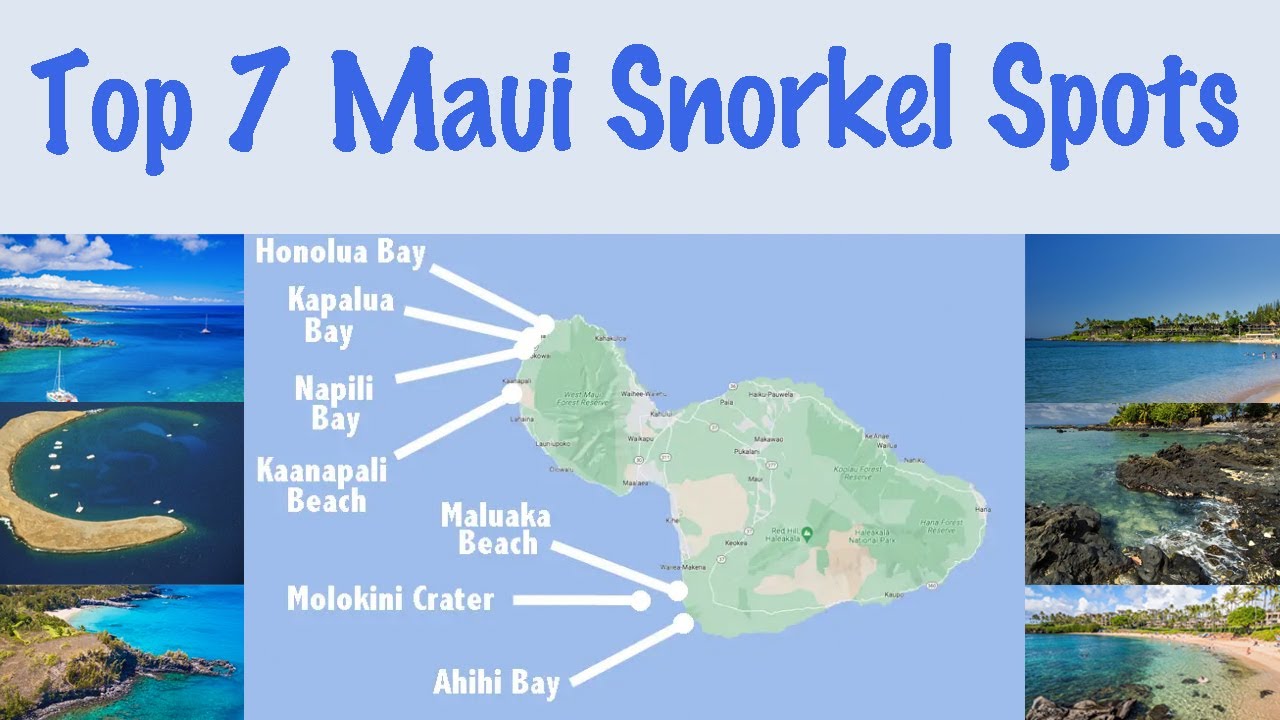 Our TOP 7 Snorkel Spots on Maui to know about - Hawaii at its best!