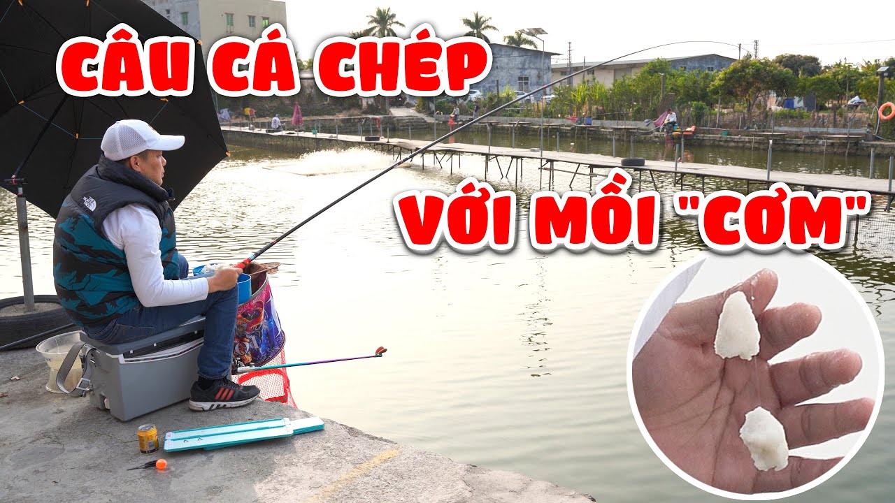 Câu cá chép khó với mồi 