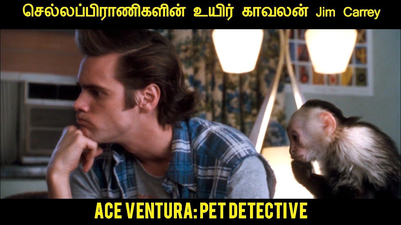 ஏஸ் வென்ச்சுரா: செல்லப்பிராணி துப்பரிவாலன் (1994)திரைப்படத்தின் விளக்கம் வழங்கியவர் Movie Multiverse