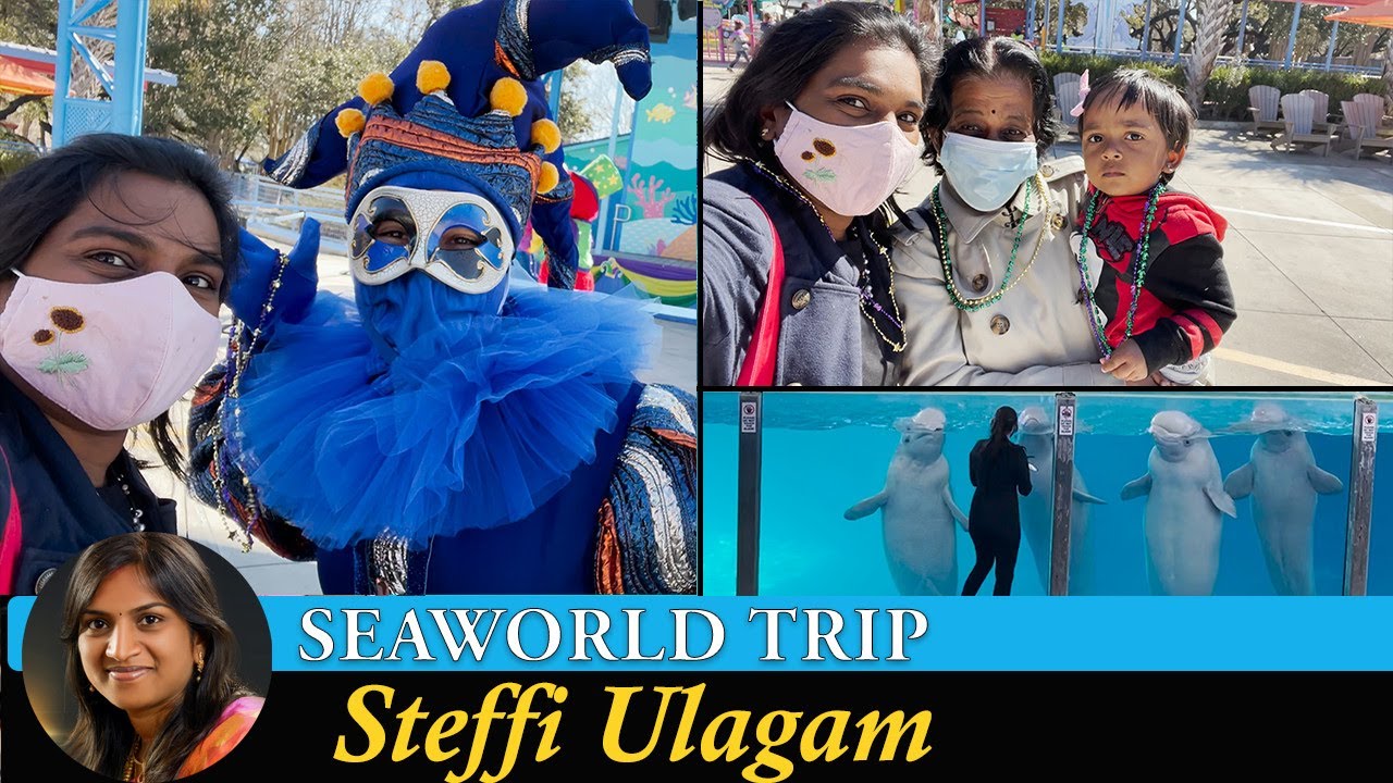 SeaWorld San Antonio Trip in Tamil | Dolphin Show and Sea Lion Show (Tamil)