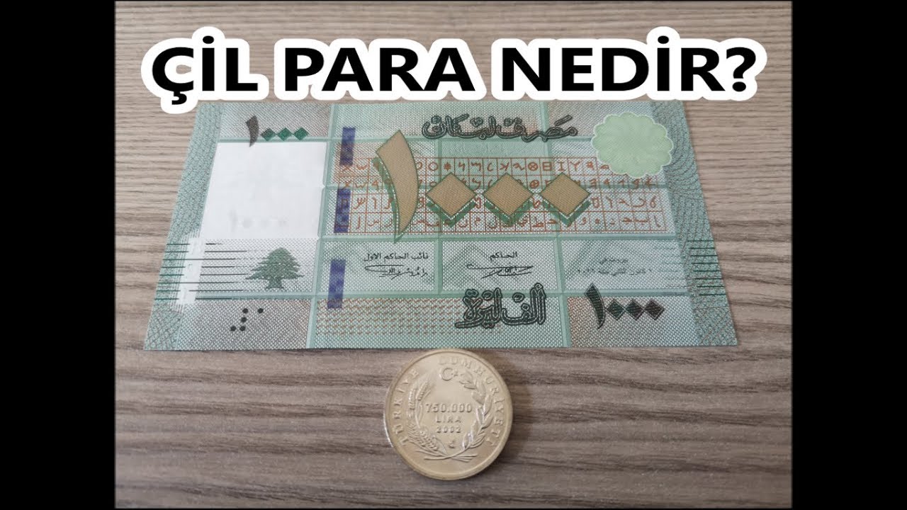 Çil Para Nedir - Kağıt Ve Madeni Para Kondisyon Sınıflandırılması