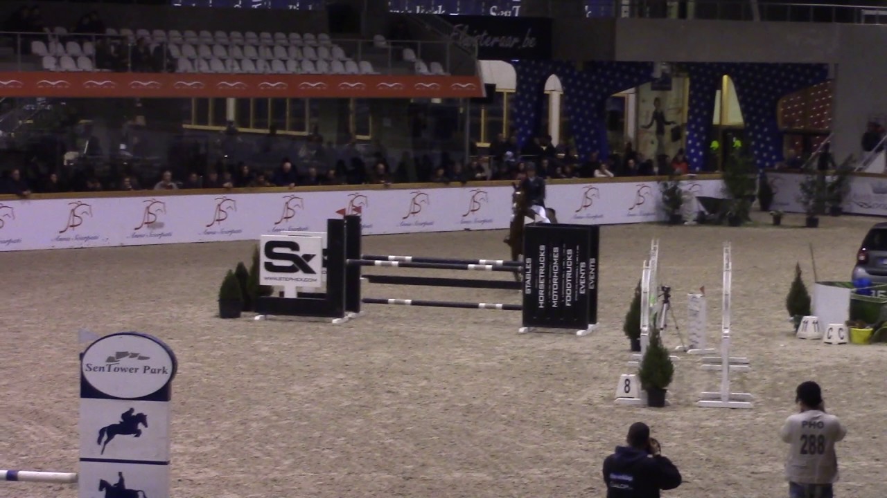 Mosito van het Hellehof 5yr HC Opglabbeek 2017