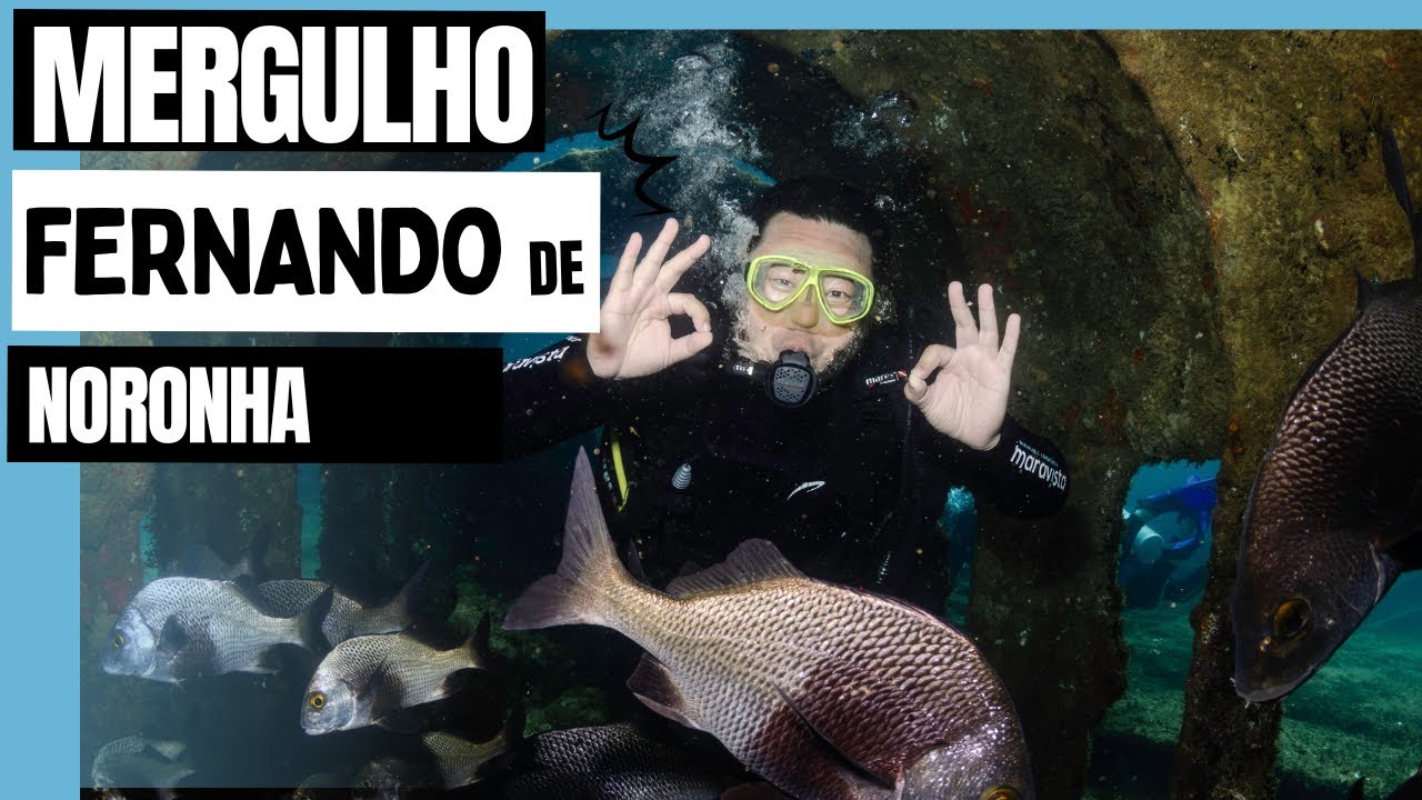 Mergulho Fernando de Noronha 2025