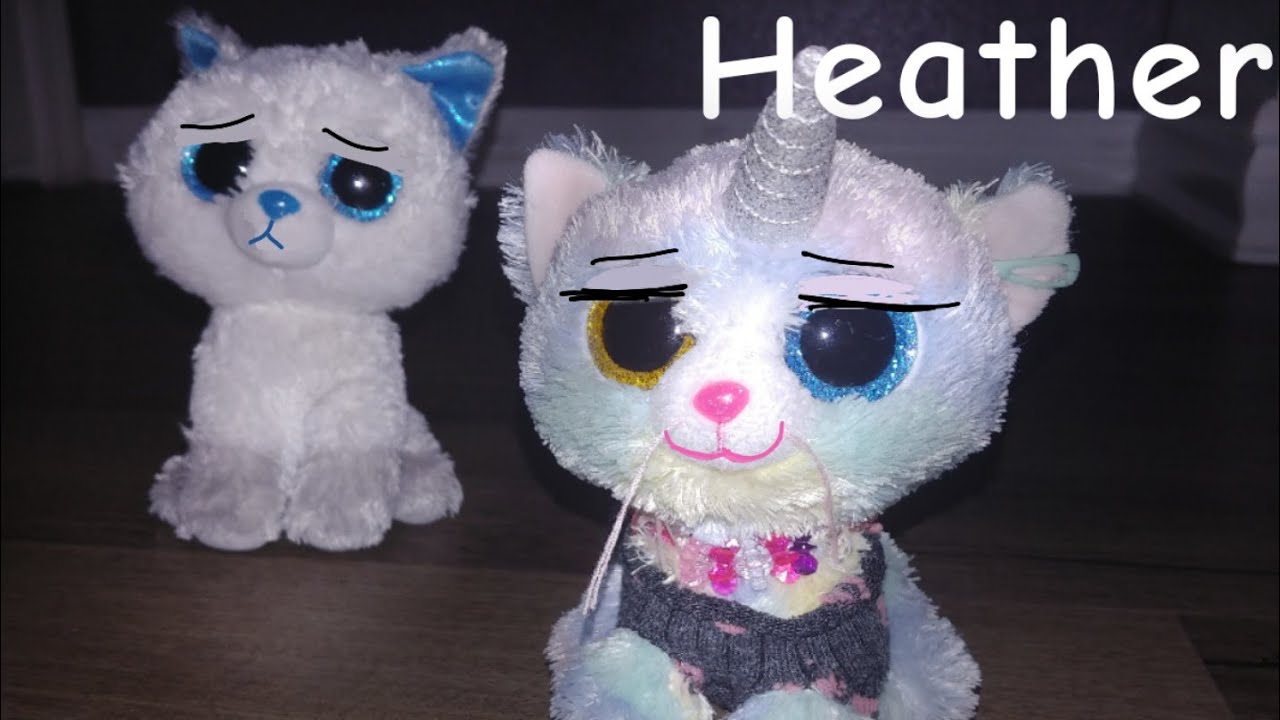 Heather~ Beanie Boo Music Video