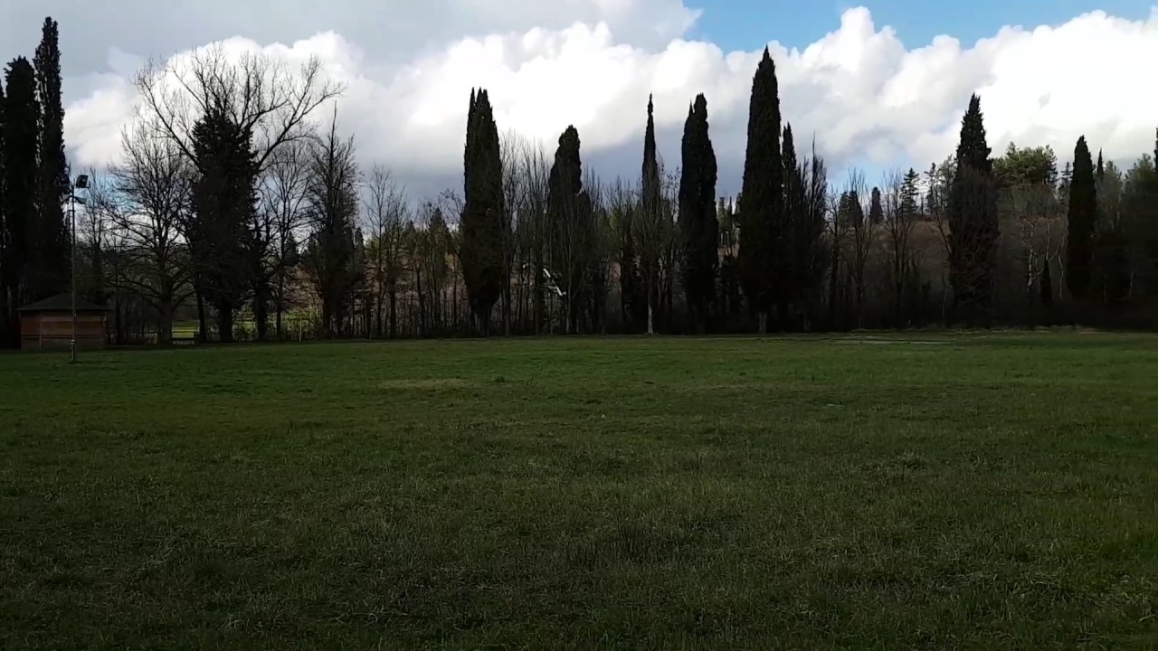 Trex 600 esp secondo volo dopo crash