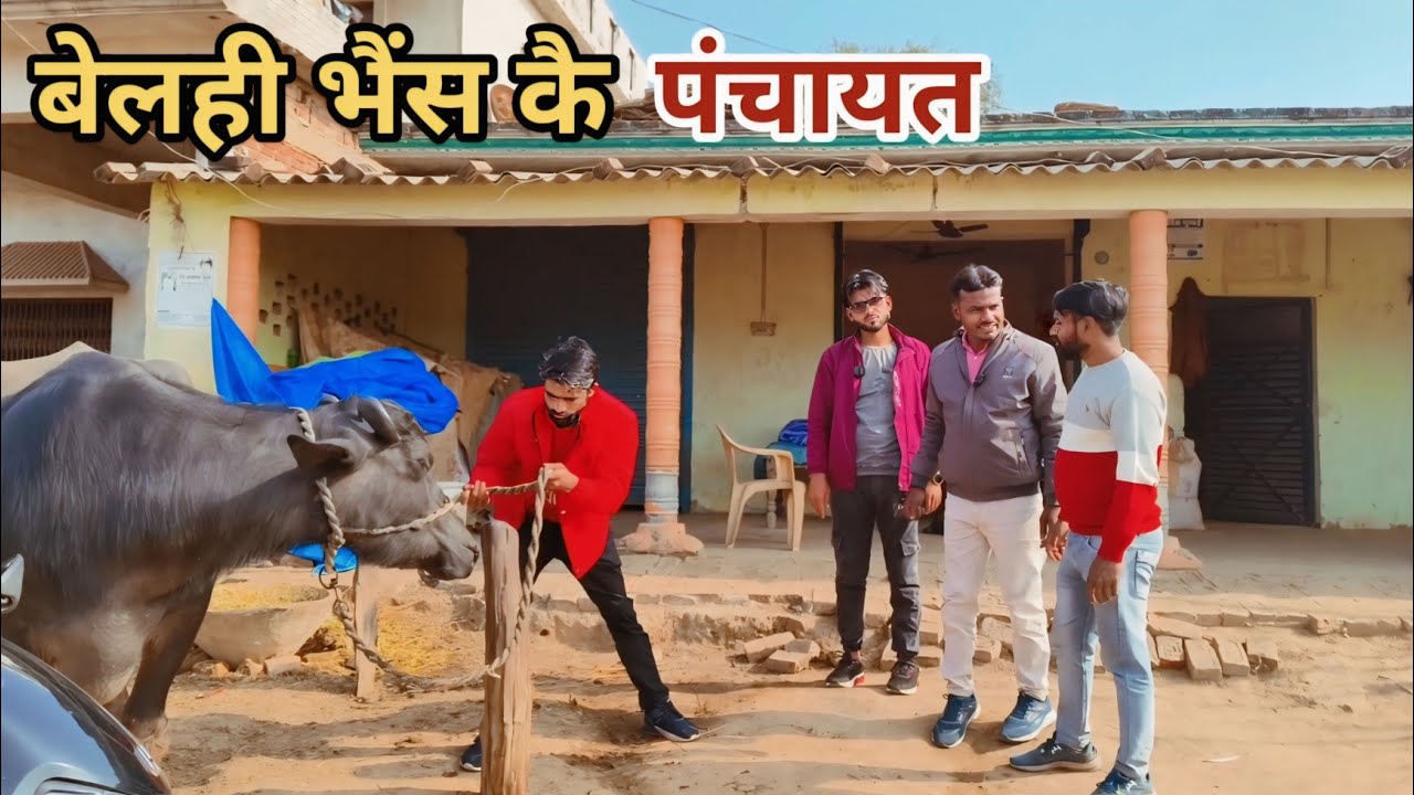 बेलही भैंस कै पंचाइत देशी अवधी काॅमेडी वीडियो 2025 #awadhi #comedy