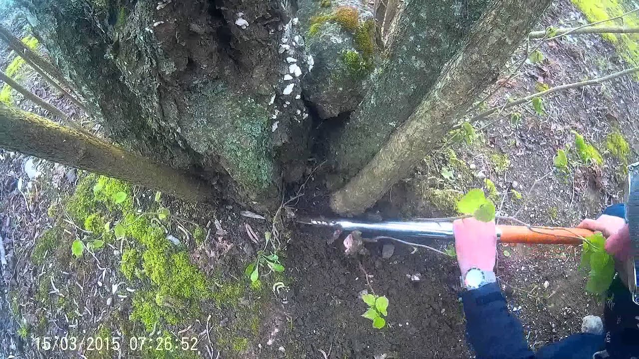 I PESCATORI TARTUFAI TESTANO I VANGHETTI DEL LIGA