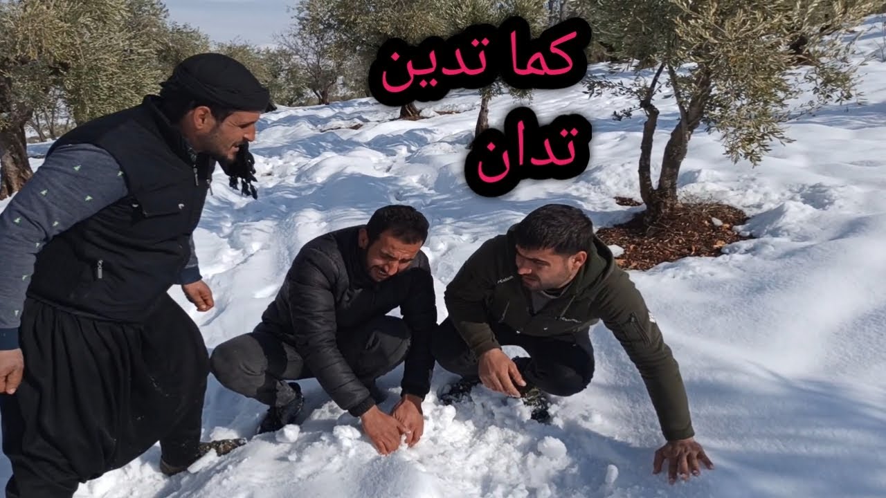 الجزء الثاني من فيلم جدي لعب بعقل تيس 🤭 | تابعوا للأخير