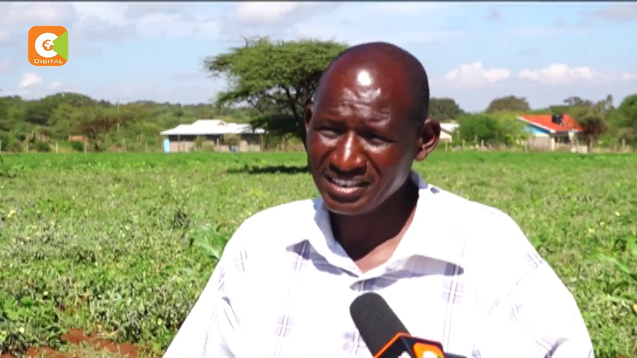Kajiado bread basket | farming becoming popular in some parts