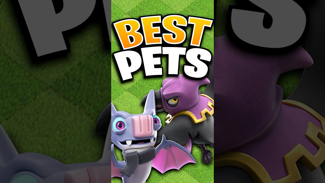 Ranking EVERY Air Hero Pet From WORST to BEST!