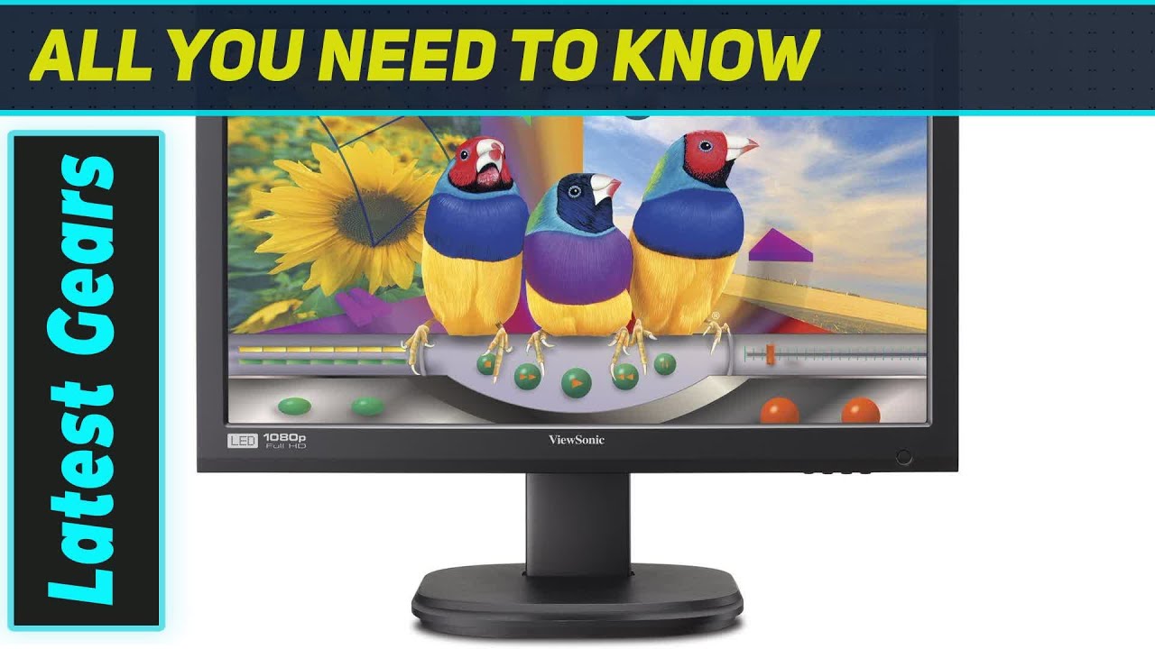 ViewSonic VG2436WM-LED: The Best Ergonomic Monitor for Your Workspace?